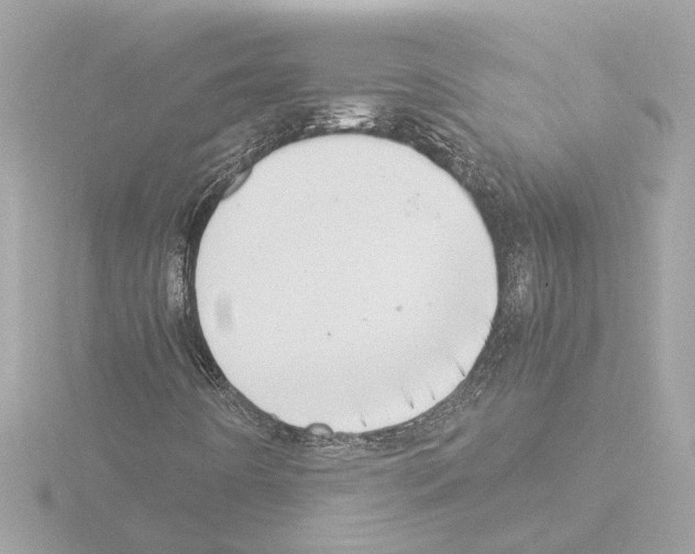 X0000115501442200912181414