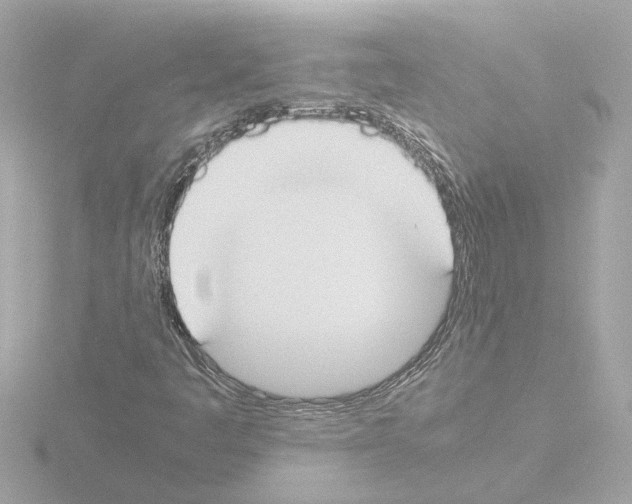 X0000115501445200912181414