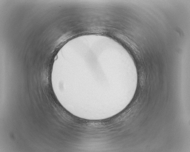 X0000115501451200912181414