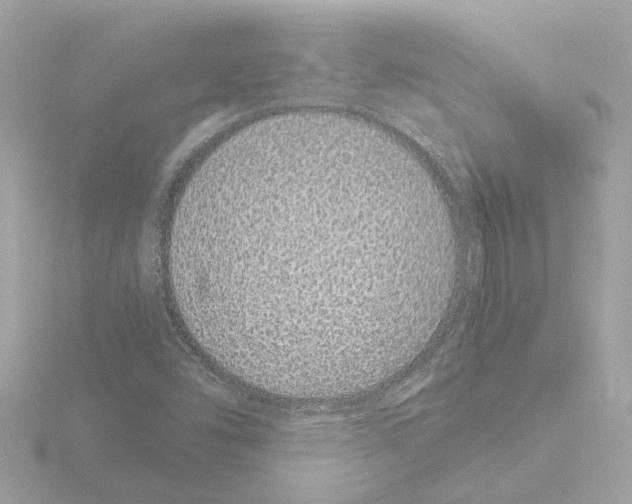 X0000115501454200912181414