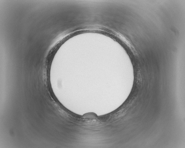 X0000115501456200912181414