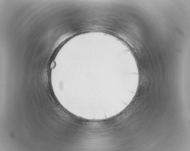 X0000115501458200912181414