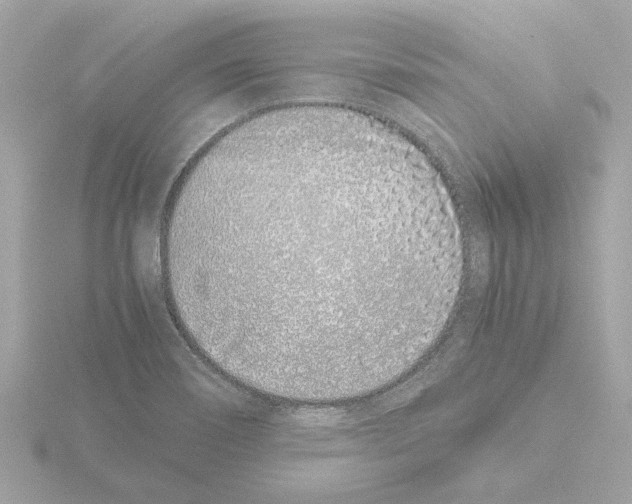 X0000115501466200912181414