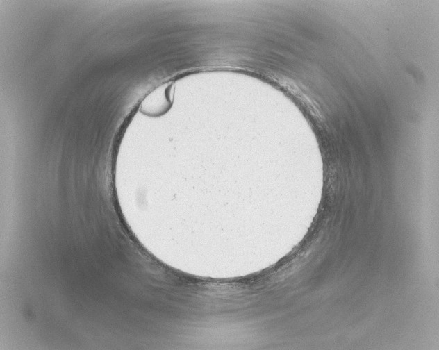 X0000115501469200912181414