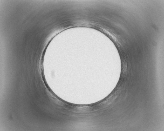 X0000115501471200912181414