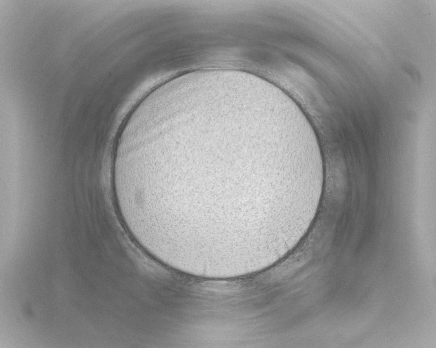 X0000115501478200912181414
