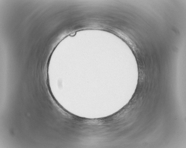 X0000115501479200912181413