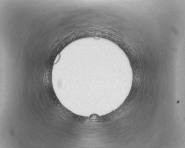 X0000115501490200912181413
