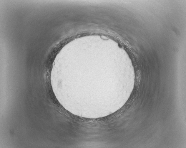 X0000115501495200912181413