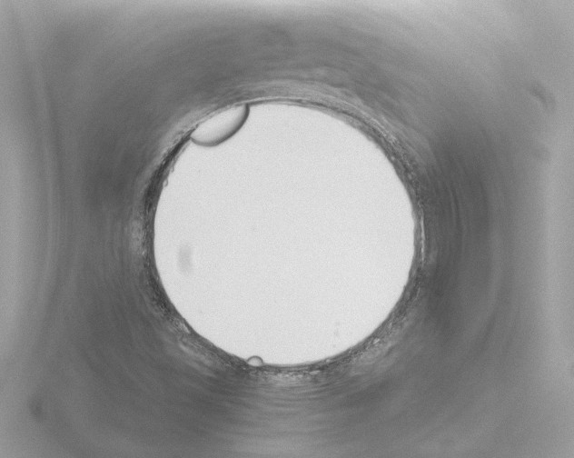 X0000115501501200912181413