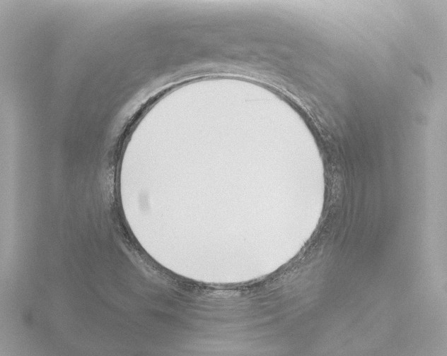 X0000115501503200912181413