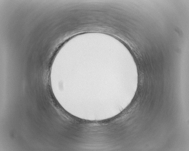 X0000115501507200912181413