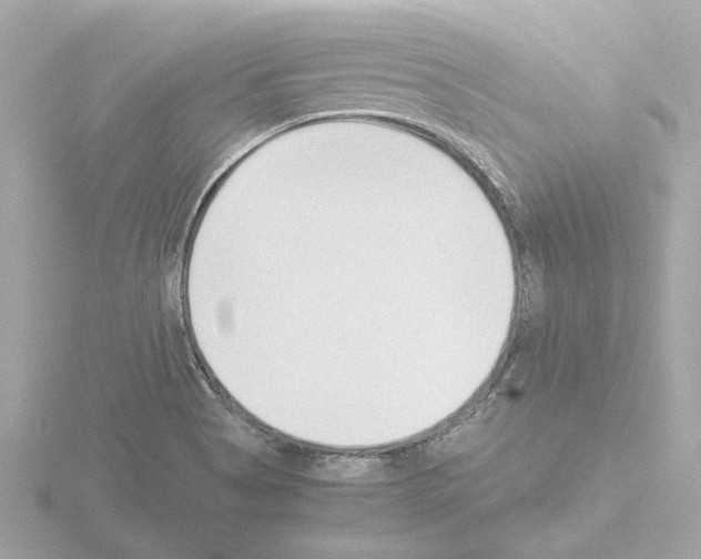 X0000115501513200912181413