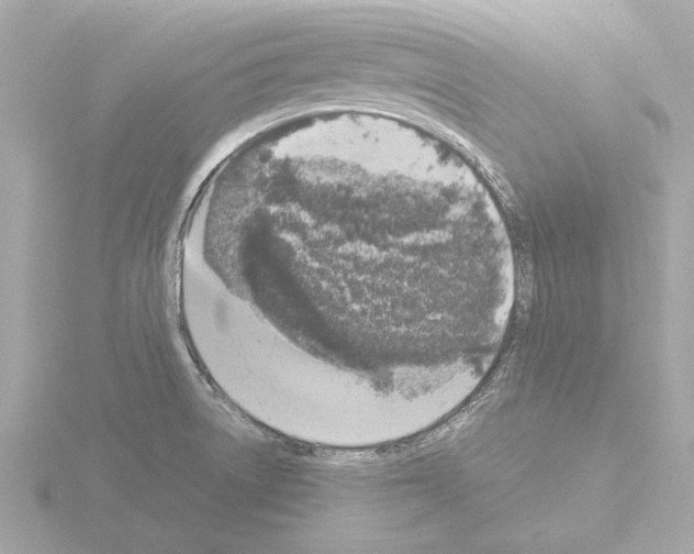 X0000115501522200912181413