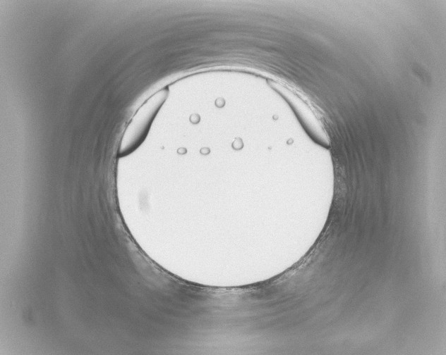 X0000115501534200912181413