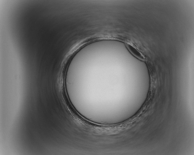 X0000115510005200911061012