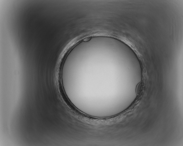 X0000115510007200911061012