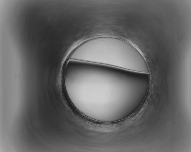 X0000115510008200911061012