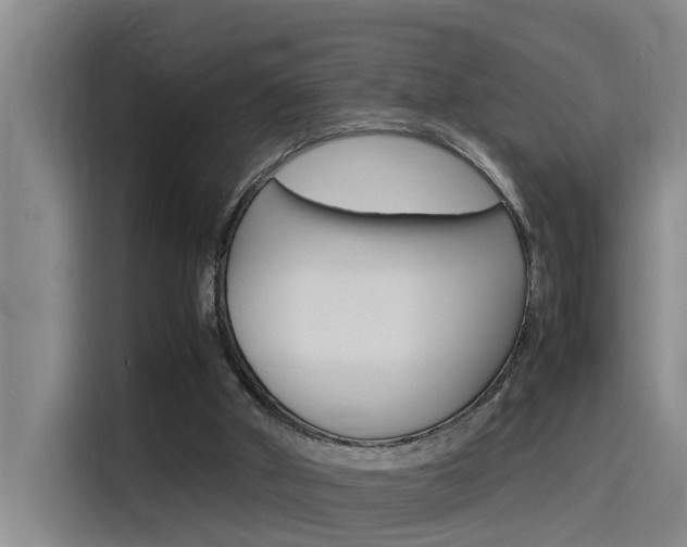 X0000115510010200911061012