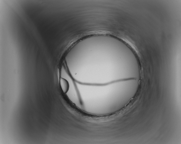X0000115510013200911061012