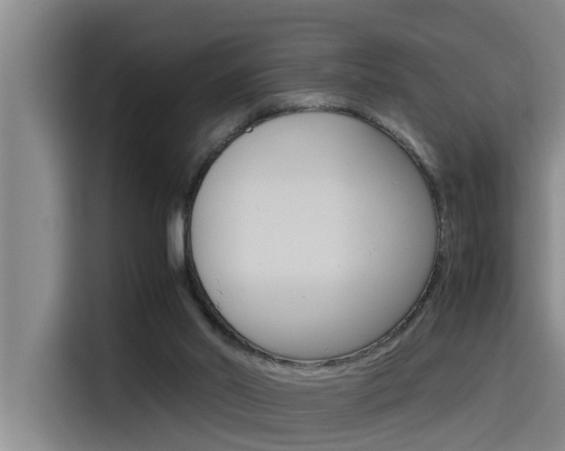 X0000115510014200911061012