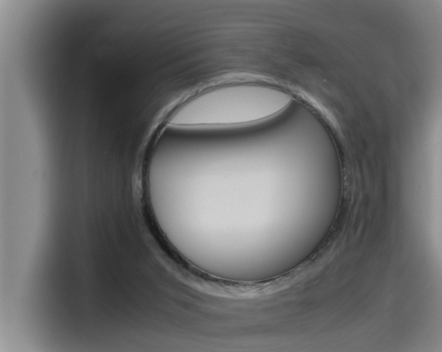 X0000115510015200911061012