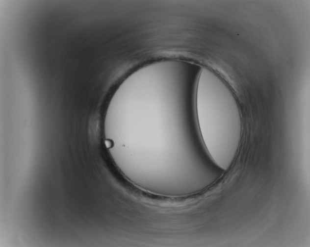 X0000115510016200911061012