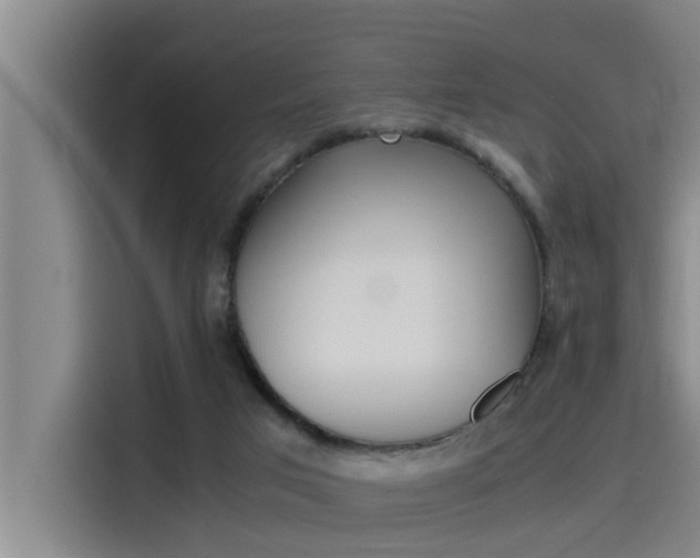 X0000115510017200911061012