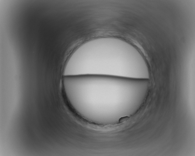 X0000115510019200911061012