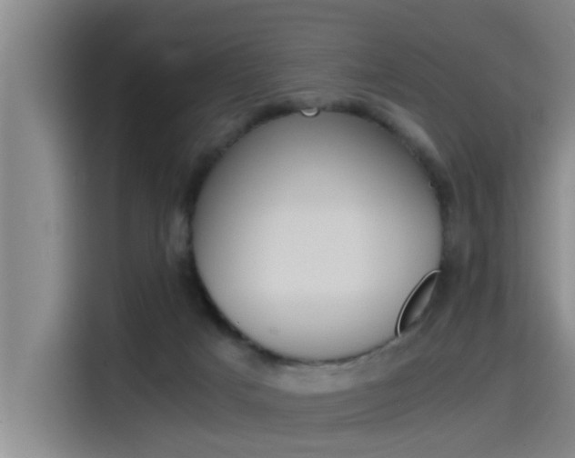 X0000115510025200911061012