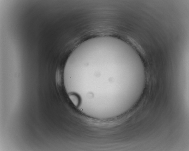 X0000115510026200911061012