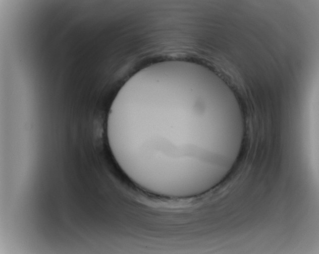 X0000115510032200911061012
