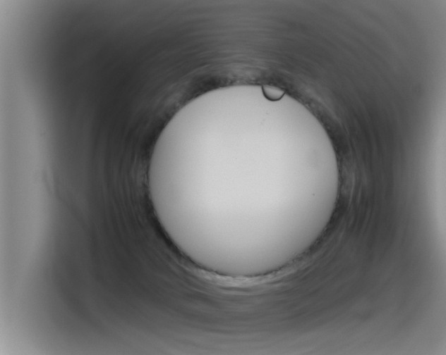 X0000115510034200911061012