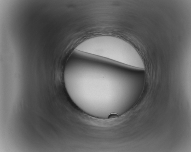 X0000115510035200911061012