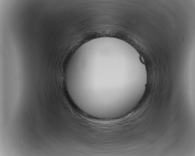 X0000115510040200911061012