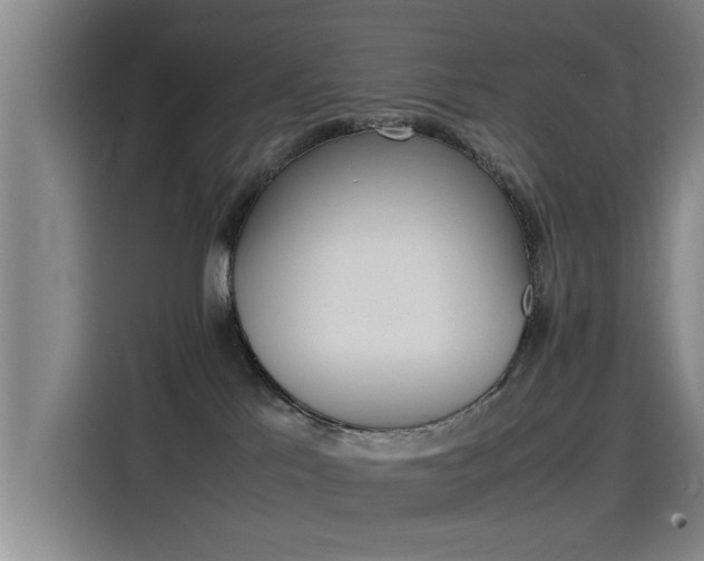 X0000115510041200911061012