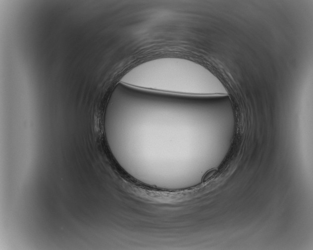 X0000115510044200911061012