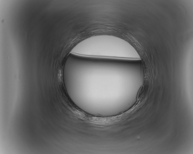 X0000115510045200911061012