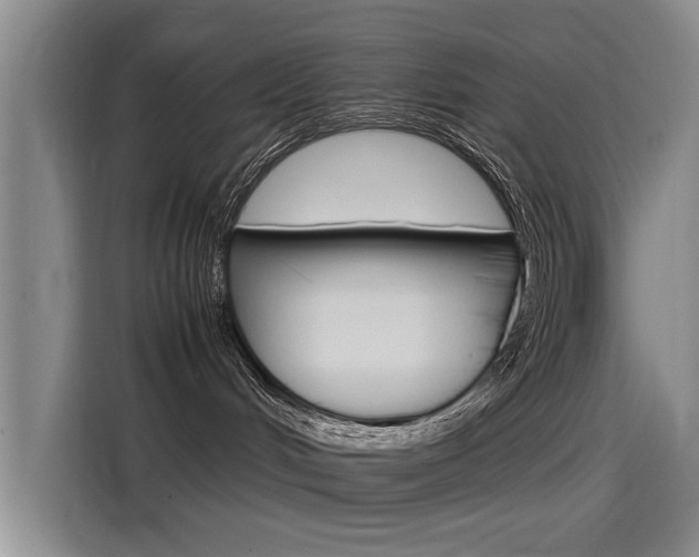 X0000115510048200911061012