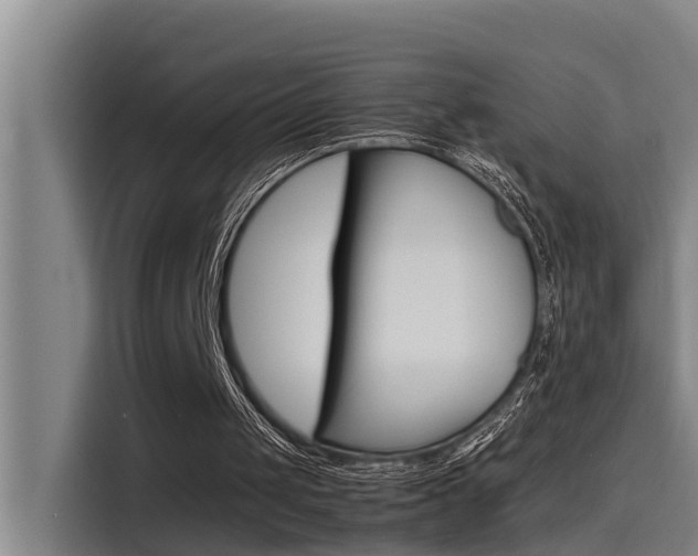 X0000115510049200911061011