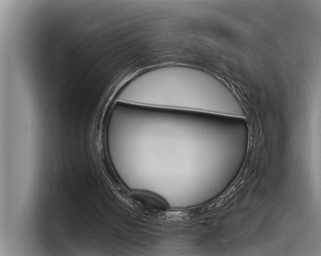 X0000115510050200911061011