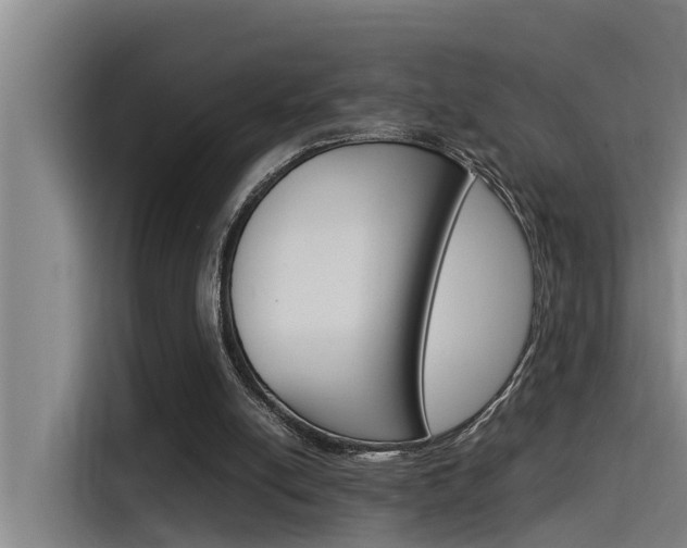 X0000115510054200911061011