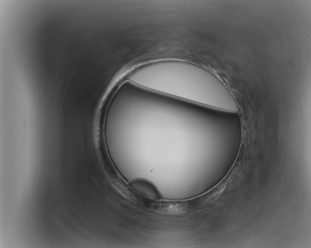 X0000115510056200911061011