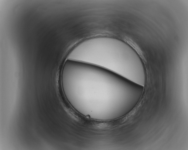 X0000115510058200911061011