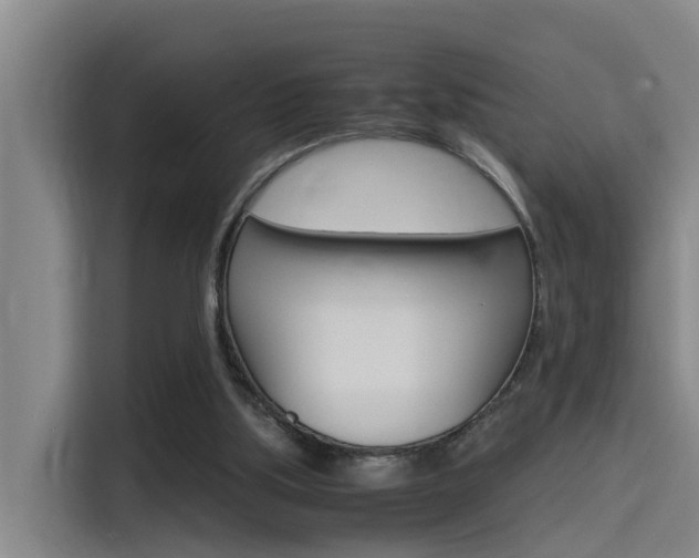 X0000115510059200911061011