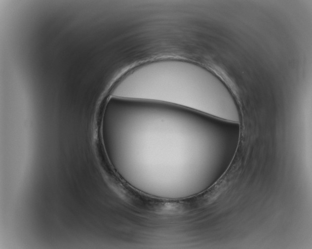 X0000115510060200911061011