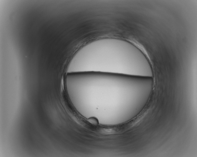 X0000115510061200911061011