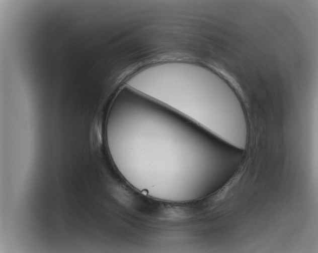 X0000115510062200911061011
