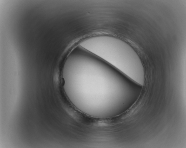 X0000115510064200911061011