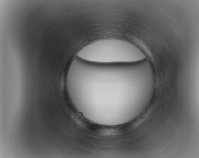 X0000115510065200911061011